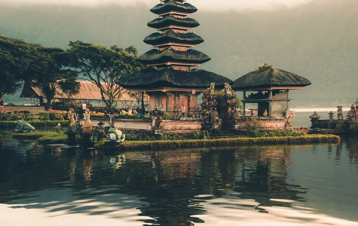 Bali rice terraces